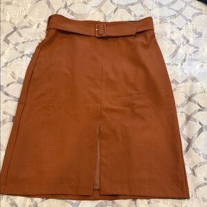 Banana Republic Factory Spicy Brown Pencil Skirt